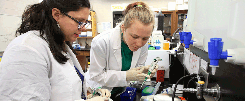 两个学生一起在生物实验室工作.